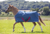 Shires Tempest Original Lite Turnout Rug (RRP £61.99)